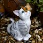Preview: Katze Kätzchen Tier Solarlampe Solarlaterne Laterne Dekolicht Solarlampe Laterne